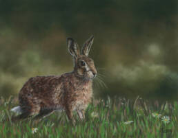 'Summer Meadow' Limited Edition Giclee Print featturing a brown hare. Original Art by Northern Irish artist Emma Colbert.