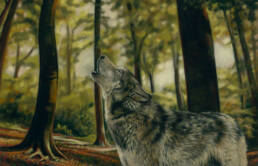 'Howlin' Wolf' Limited Edition Giclee Print featturing a wolf in the forest. Original Art by Northern Irish artist Emma Colbert.
