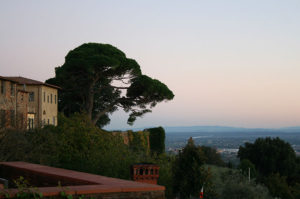 pic9