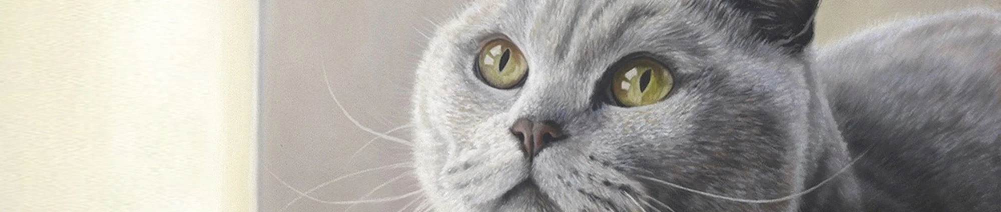 Cat art tutorials by Emma Colbert.